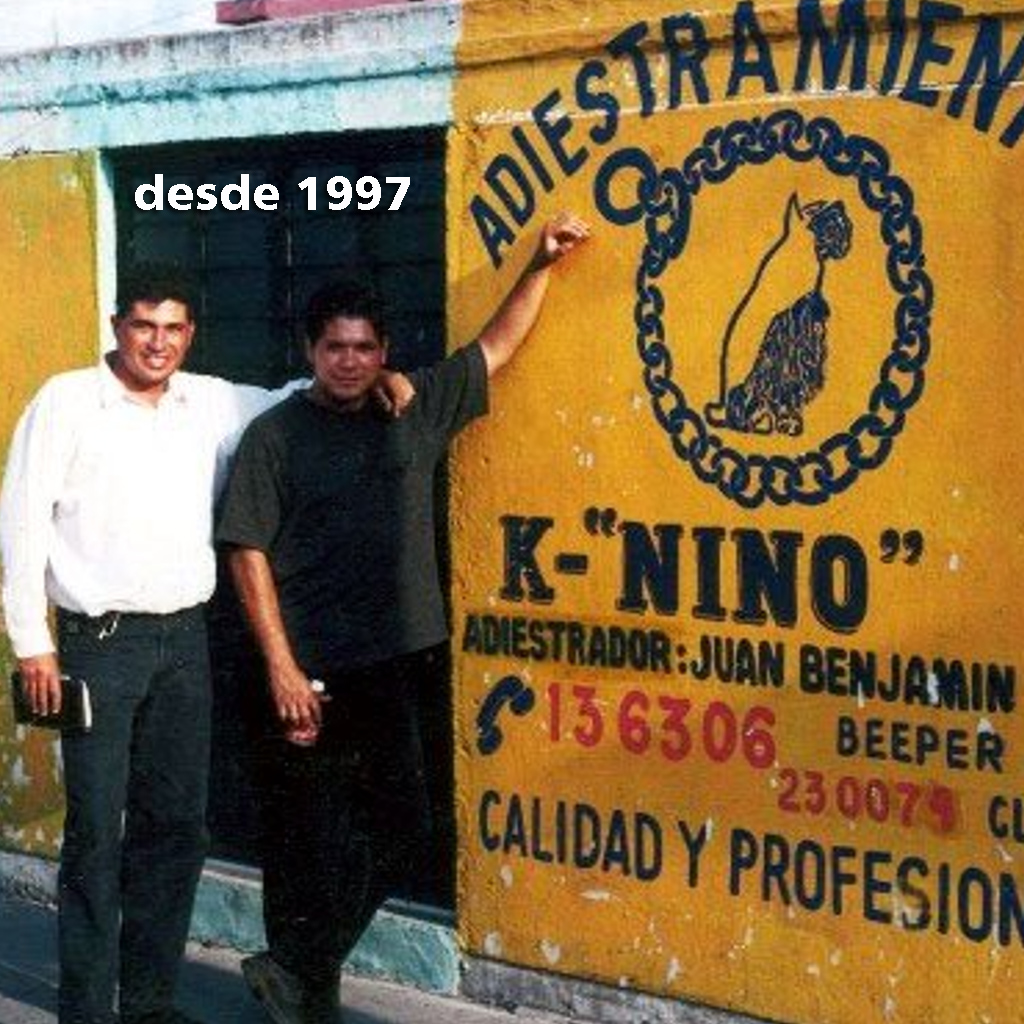 Adiestramos desde 1997
