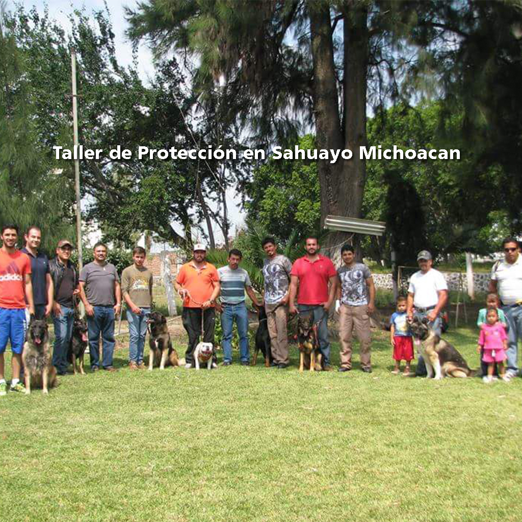 Imparticion de taller de proteción en Sahuayo, Mich